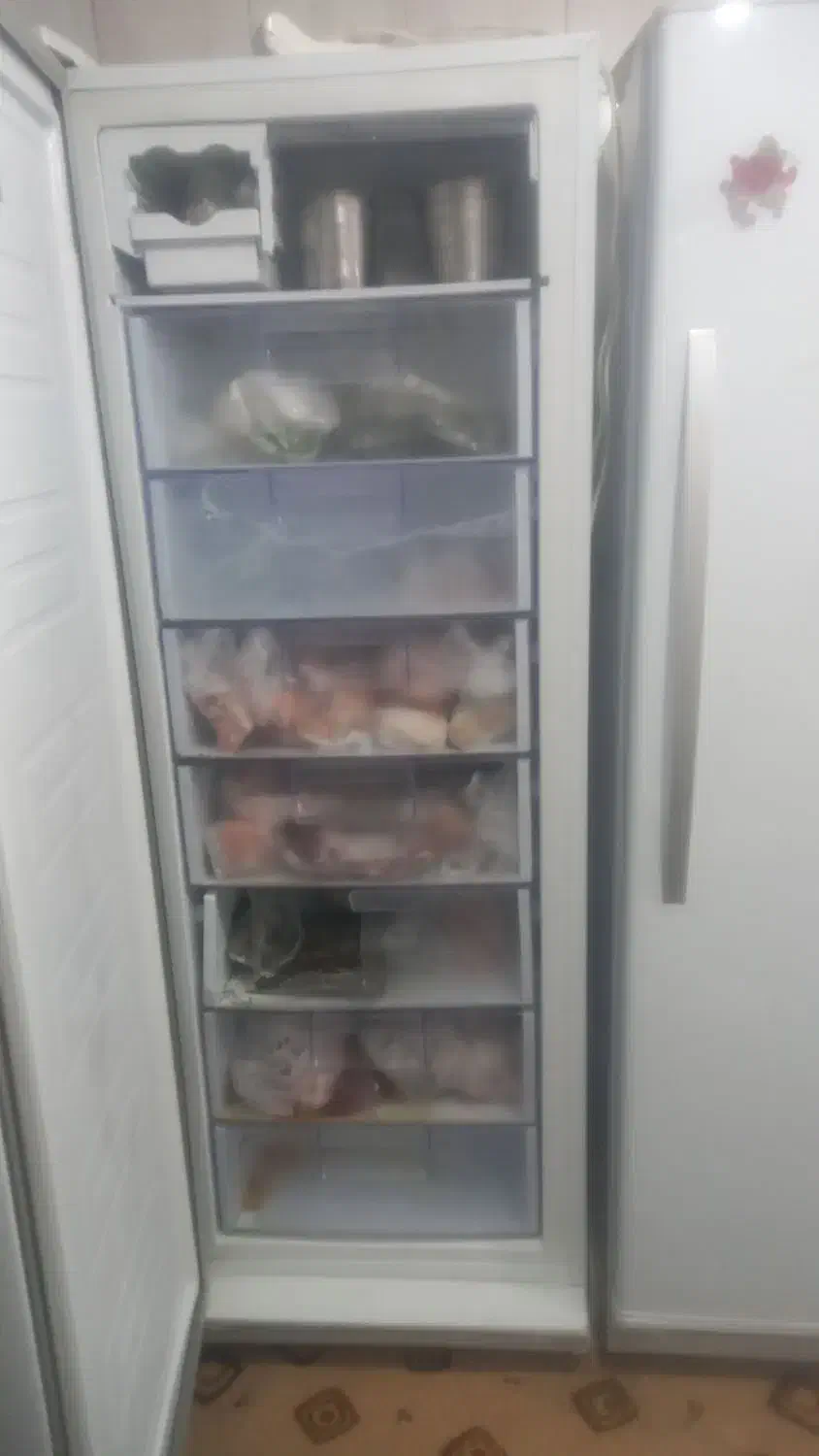 یخجال دوقلو سیلوان|یخچال و فریزر|مسجد سلیمان, |دیوار