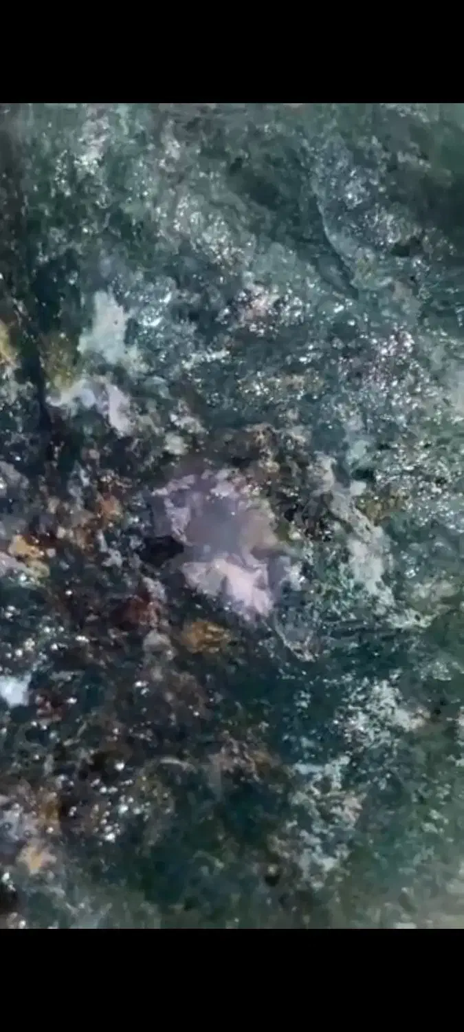 سنگ یشم معدنی|کلکسیون اشیاء عتیقه|ساری, |دیوار