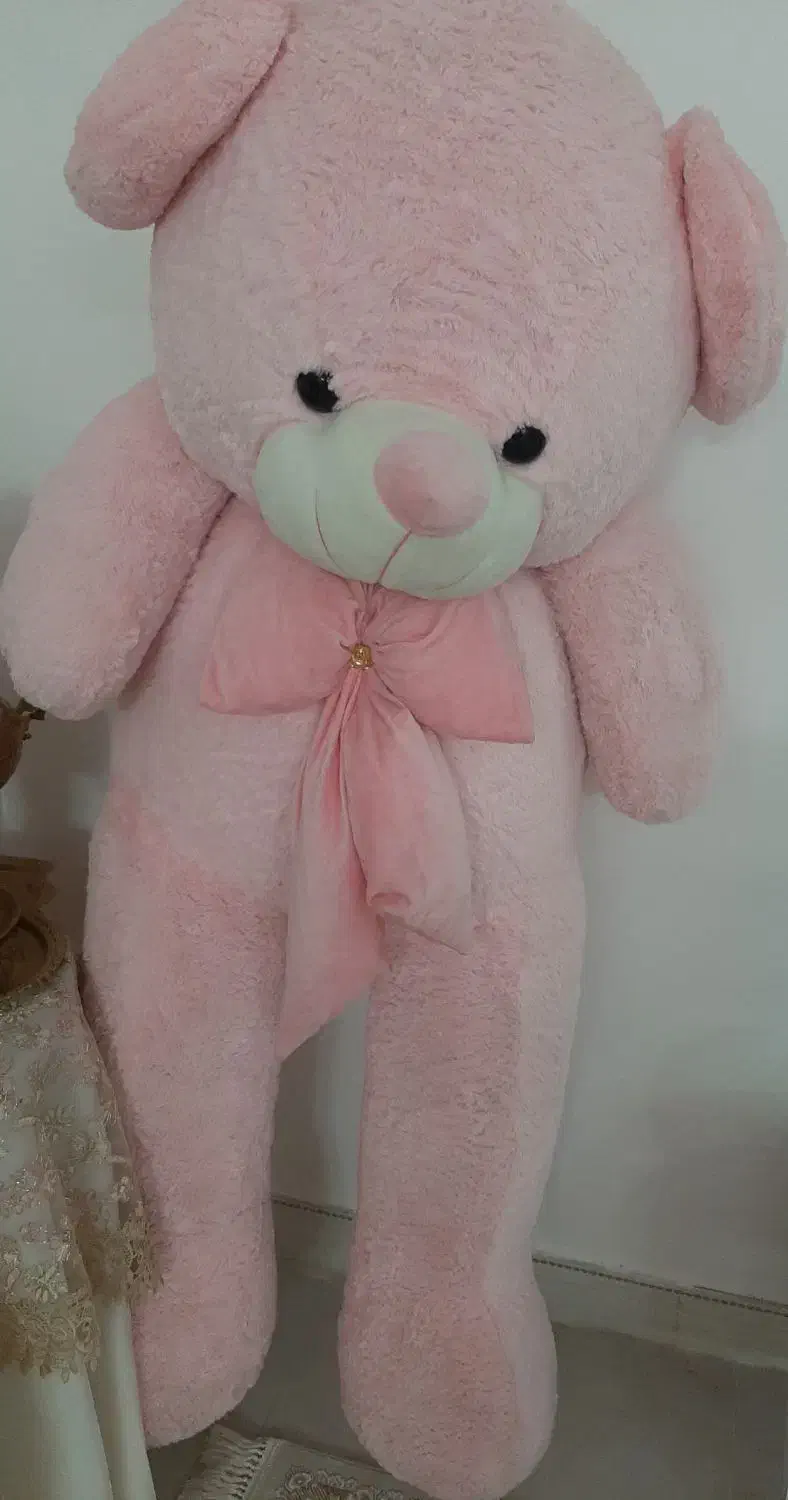 خرس بزرگ|اسباب‌‌بازی|قم, حاج زینل|دیوار