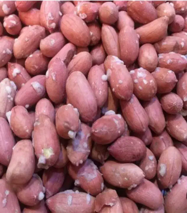 بادام زمینی امساله بسیار باکیفیت دو الکه|خوردنی و آشامیدنی|قم, جهان بینی|دیوار