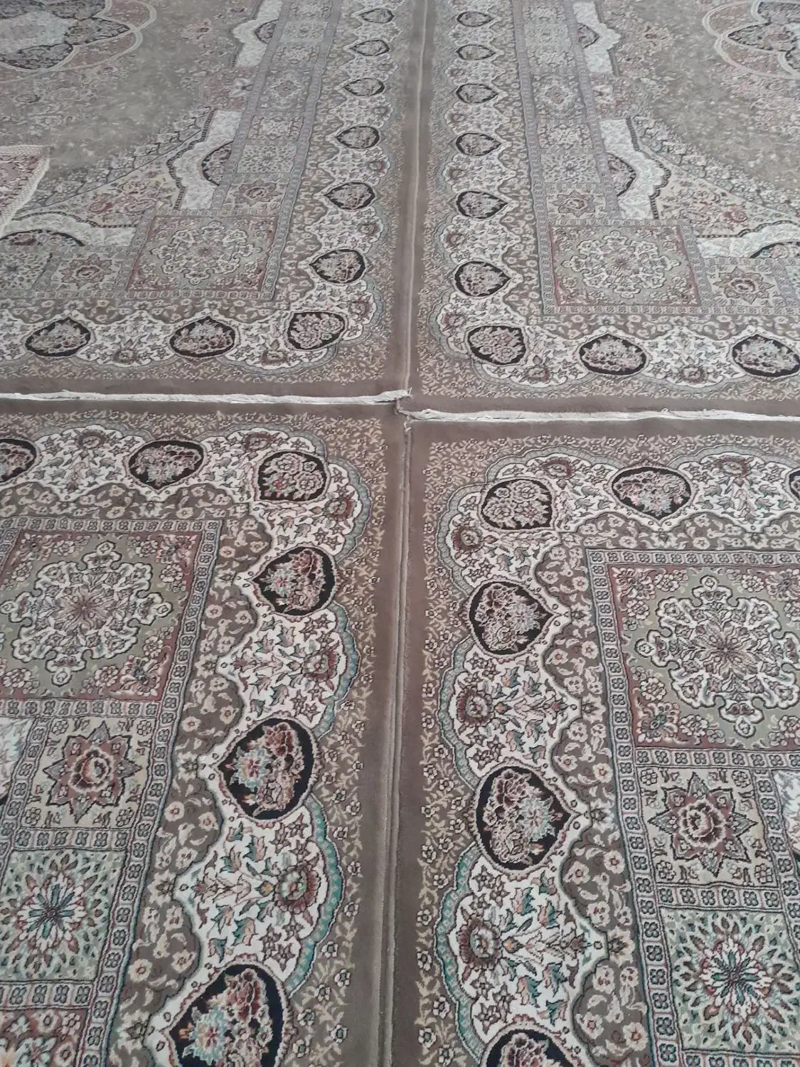 فرش12 متری|فرش|تربتحیدریه, پائین ولایت|دیوار