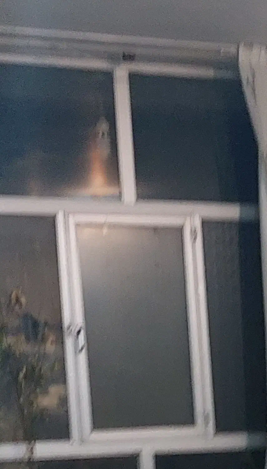 نیازمند همخونه خانم|اجارهٔ خانه و ویلا|بابا حیدر, |دیوار