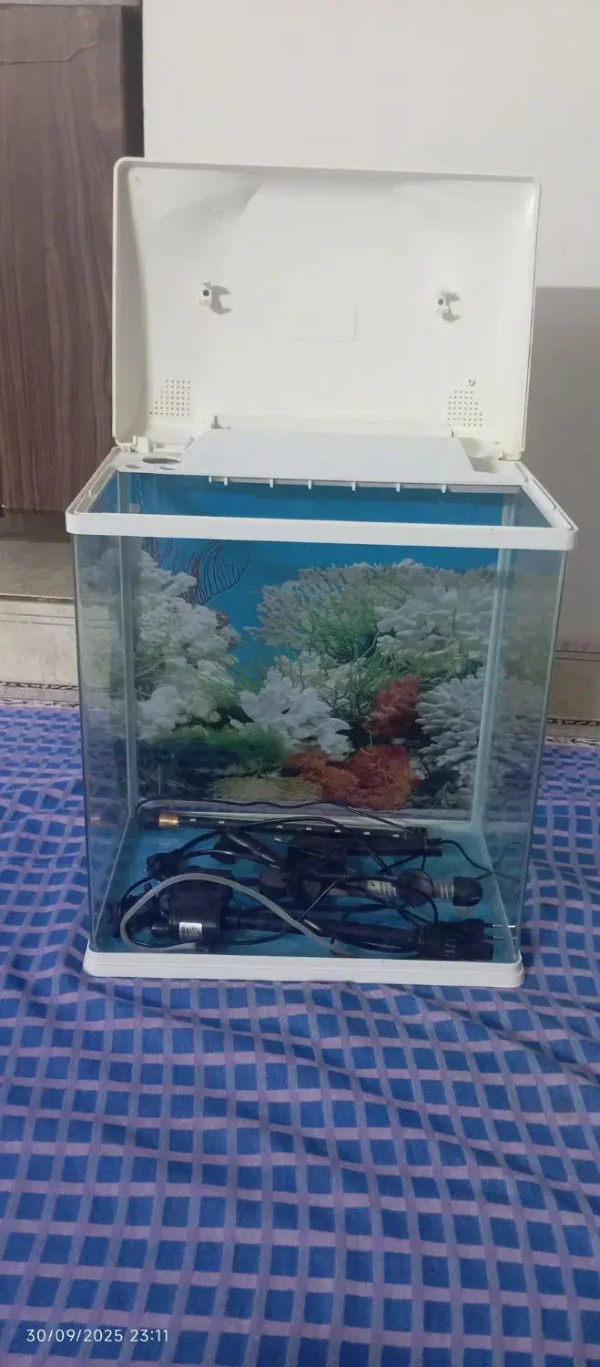 آکواریوم|ماهی|مشهد, هدایت|دیوار