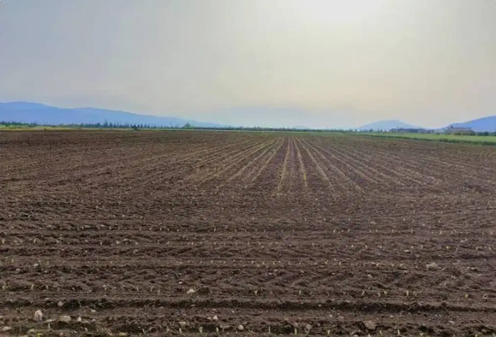 اجاره زمین کشاورزی|اجارهٔ کوتاه‌مدت ویلا و باغ|باروق, |دیوار