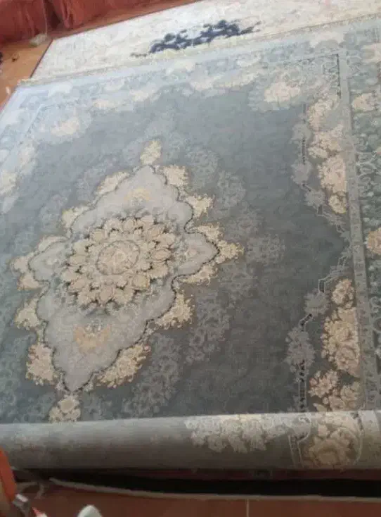 فرش 12متری|فرش|فولادشهر, فولادشهر|دیوار