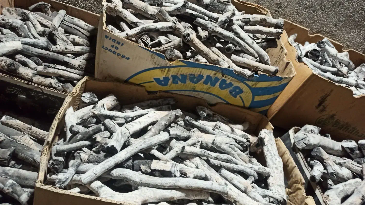 زغال پسته|عمده‌فروشی|تبریز, |دیوار