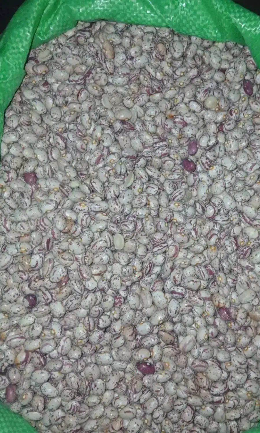 لوبیا چیتی زنجان ۳۸۰ تومن|عمده‌فروشی|کرج, شهرک فهمیده|دیوار