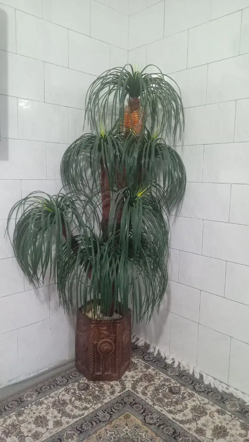 گل نخل بسیار زیبا ،تازه برام کادو آوردن|گل مصنوعی|یاسوج, |دیوار