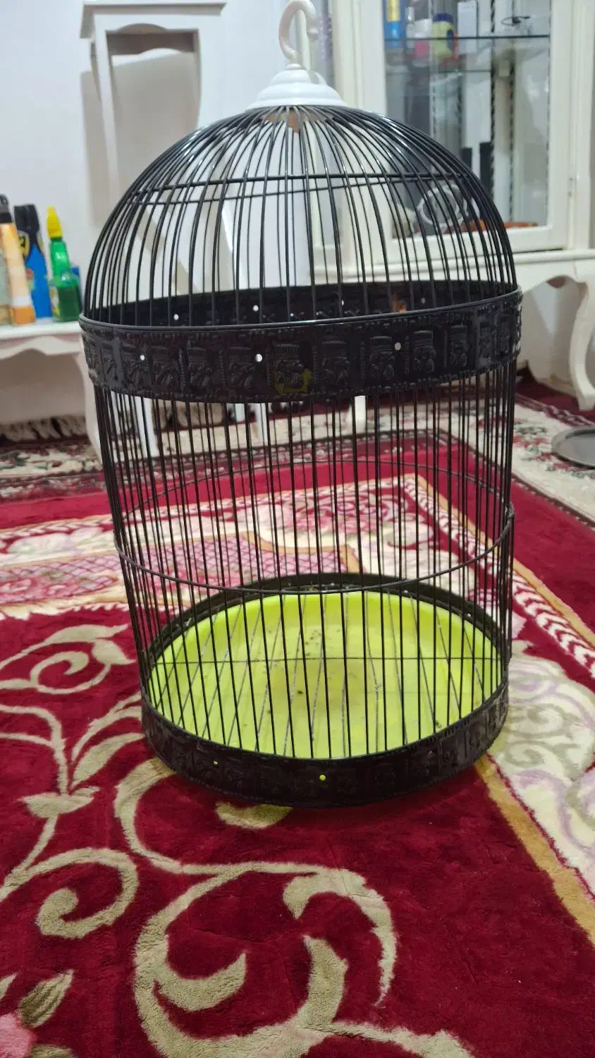 قفس پرنده|لوازم جانبی حیوانات|بندرعباس, |دیوار