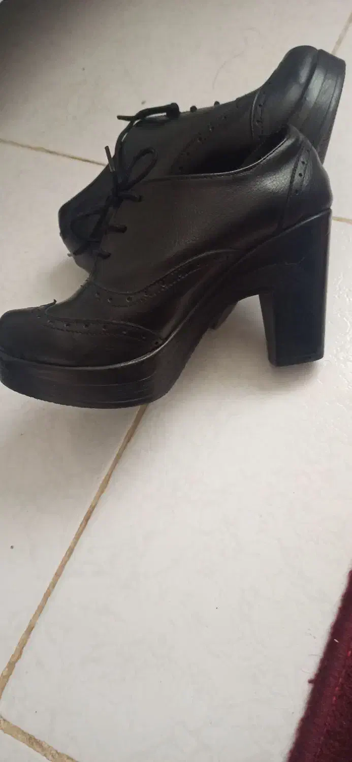 کفش|کیف، کفش، کمربند|سبزوار, هویزه|دیوار