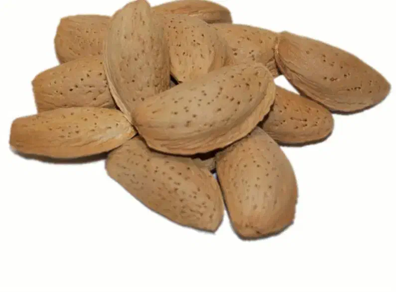 بادام مامایی ۶۰۰تومان وبادام کاغذی ۹۸۰ هزارتومان|خوردنی و آشامیدنی|شاهینشهر, گرگاب|دیوار