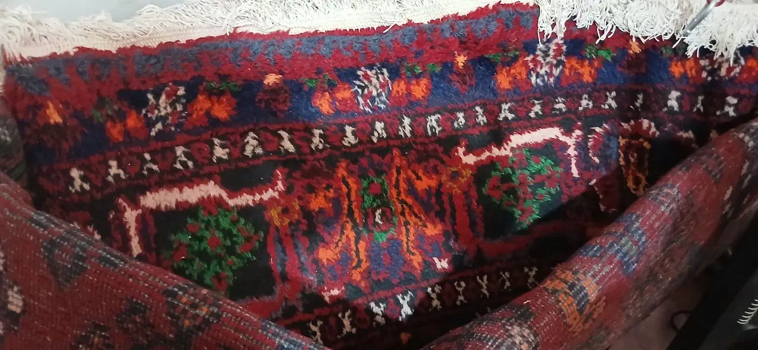 فرش دوازده متری|فرش|قم, جمکران|دیوار