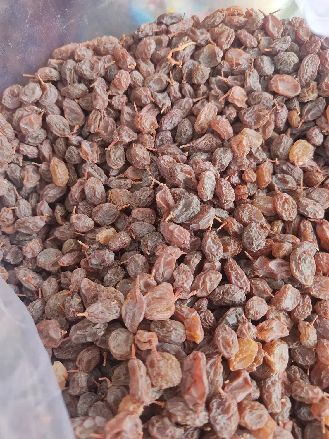 خرید و فروش خشکبار|خوردنی و آشامیدنی|خرمدره, |دیوار