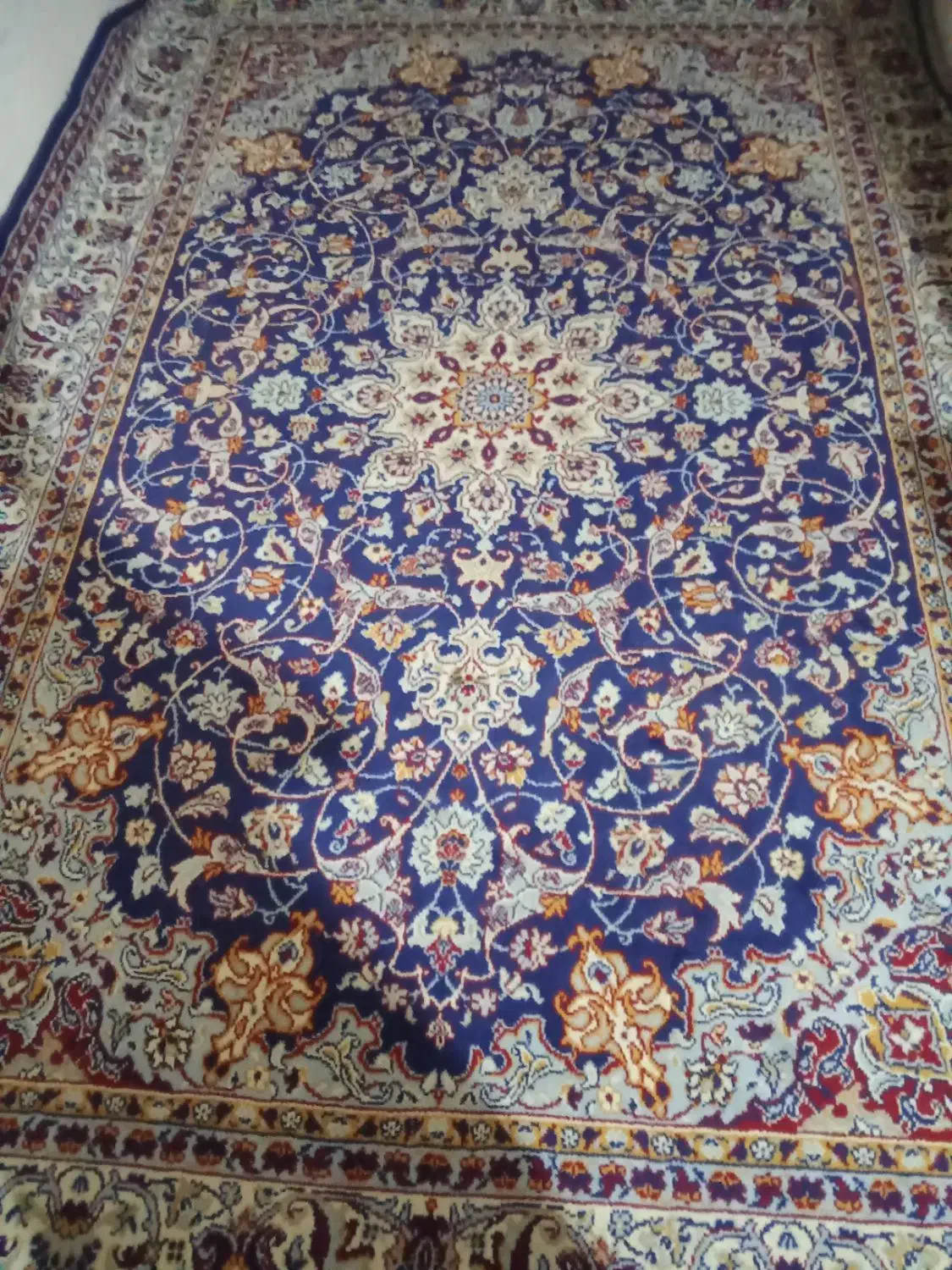 فرش شیش متری|فرش|طرقبه, |دیوار