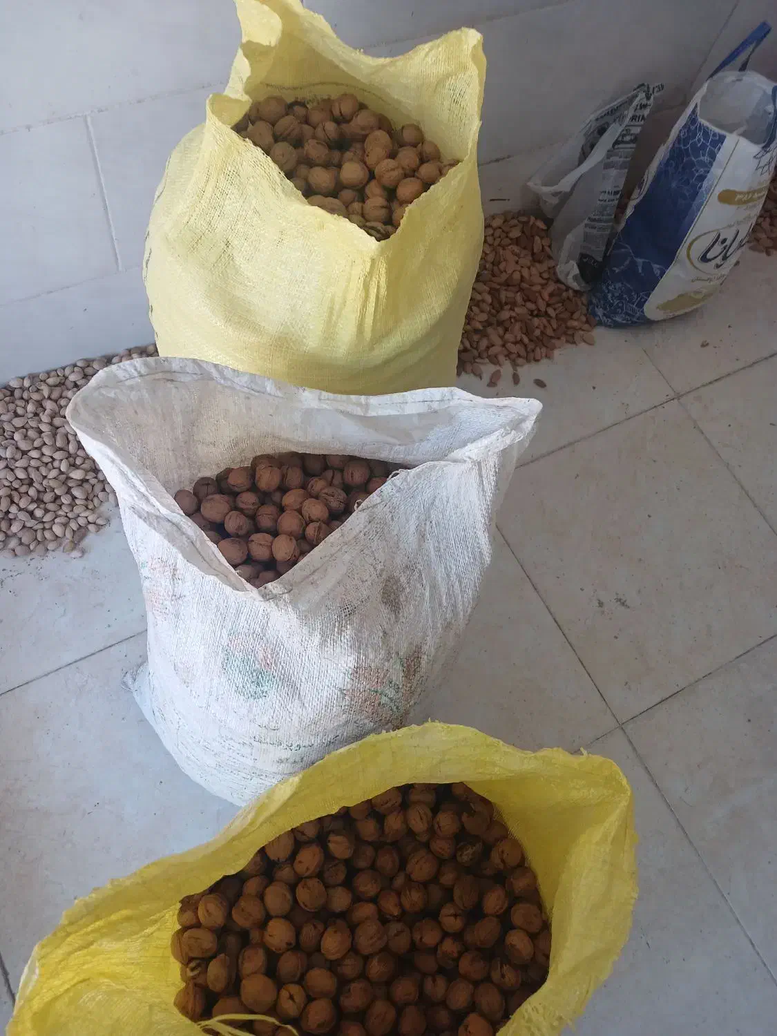 گردو|عمده‌فروشی|زاینده رود, |دیوار