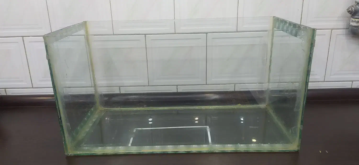 آکواریوم|ماهی|مبارکه, |دیوار