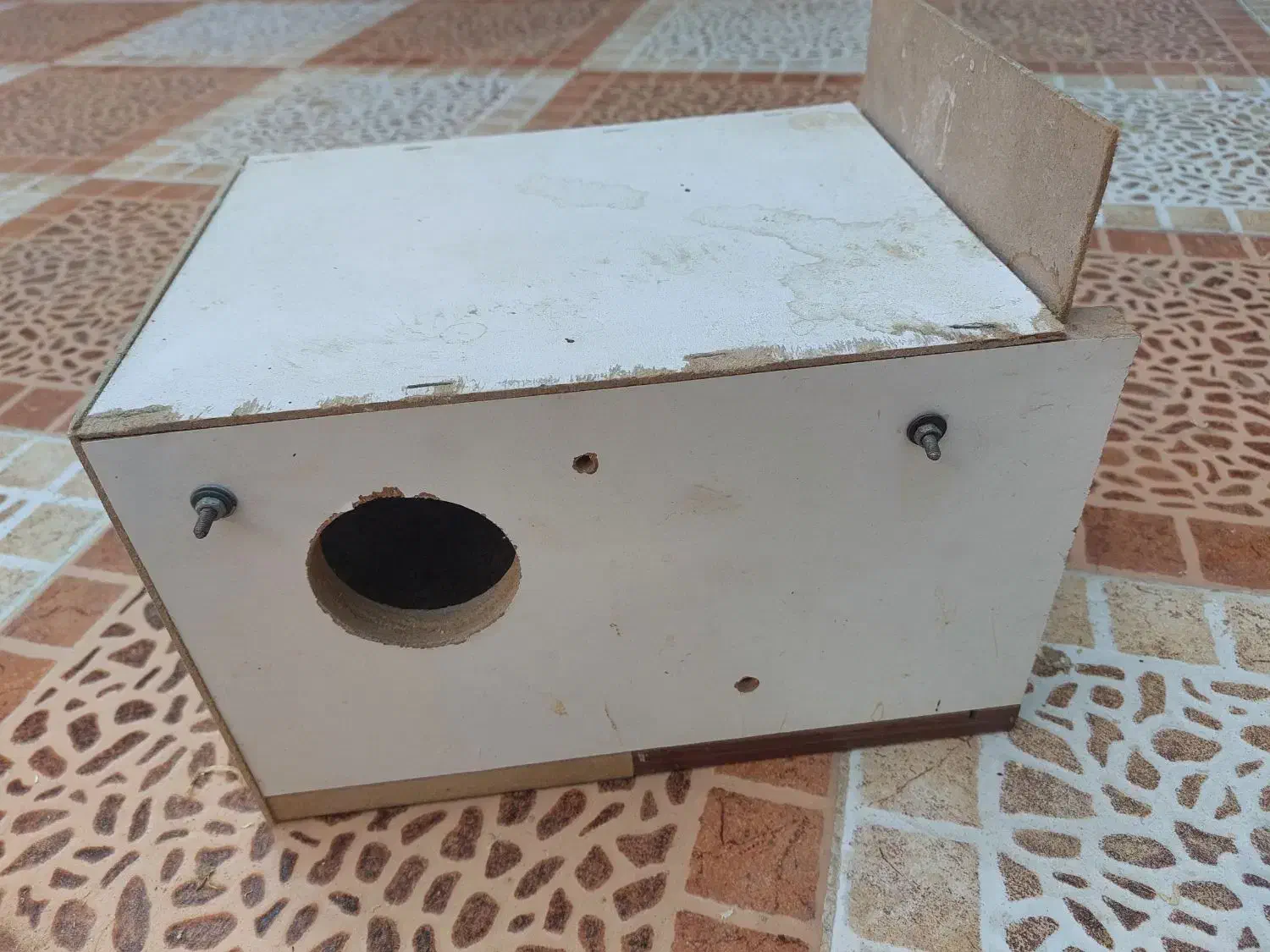 فروش لانه عروس هلندی و قفس قناری|لوازم جانبی حیوانات|اندیمشک, |دیوار