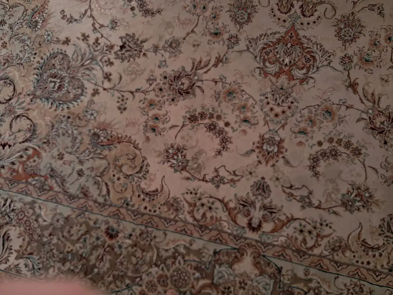 دو عدد فرش ۱۲ متری در حد|فرش|قائم‌شهر, |دیوار