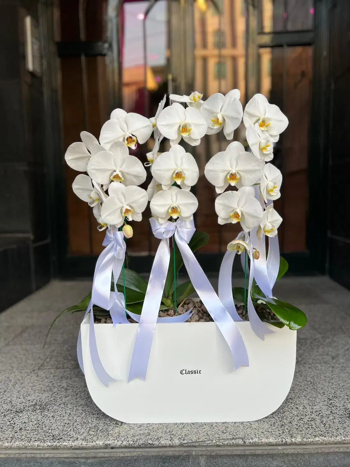 گل و گل ارایی|خدمات پذیرایی، مراسم|تهران, قیطریه|دیوار