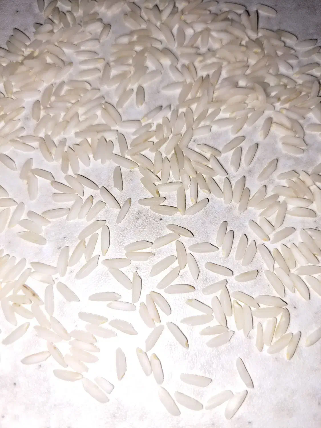 فروش برنج|خوردنی و آشامیدنی|طارم, |دیوار