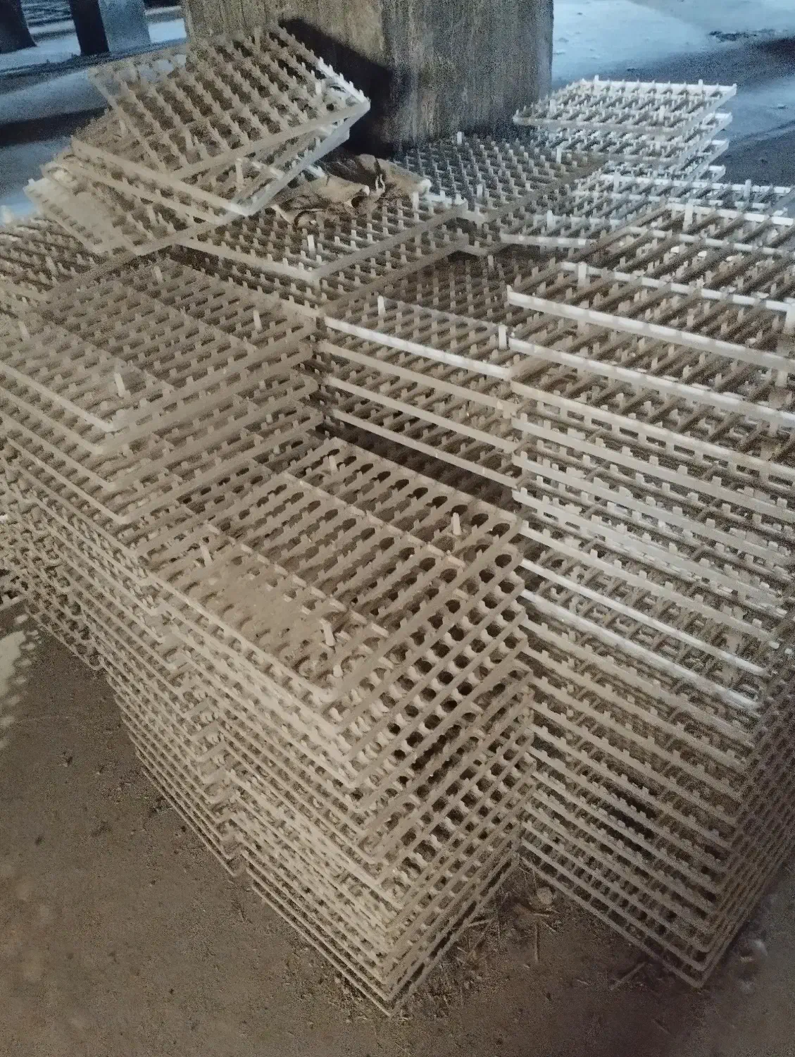 جوجه کشی|لوازم جانبی حیوانات|آباده, |دیوار