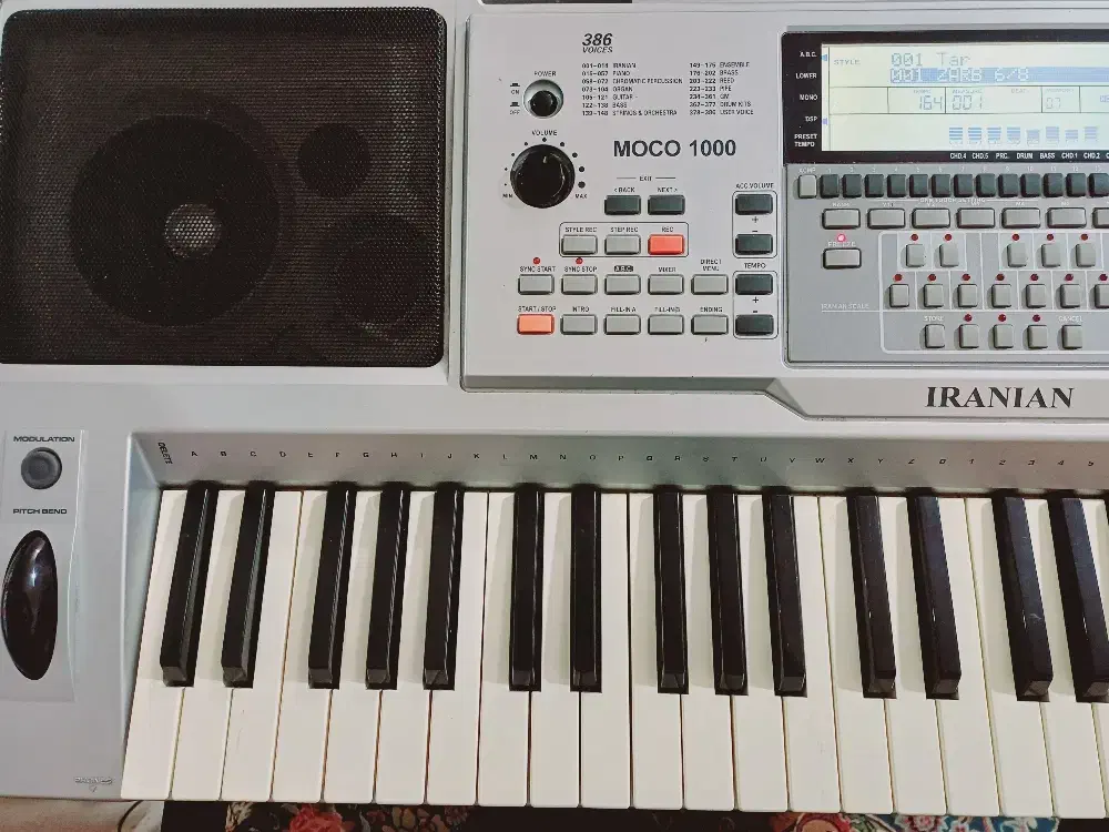 ارگ موکو ۱۰۰۰ ایرانیان|پیانو، کیبورد، آکاردئون|مشهد, چهارچشمه|دیوار