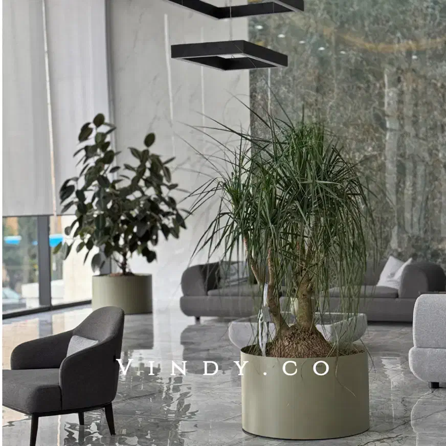 رسیدگی تخصصی گل و گیاه|خدمات باغبانی و درختکاری|تهران, ونک|دیوار