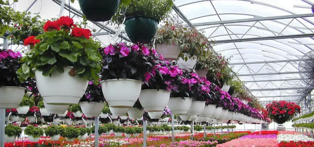 انواع کود گل و گیاه و درخت|گل و گیاه طبیعی|کرج, چمران|دیوار