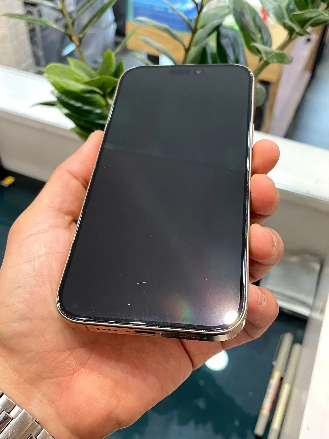 16promax Zaa 256|موبایل|کرج, مهرویلا جنوبی|دیوار