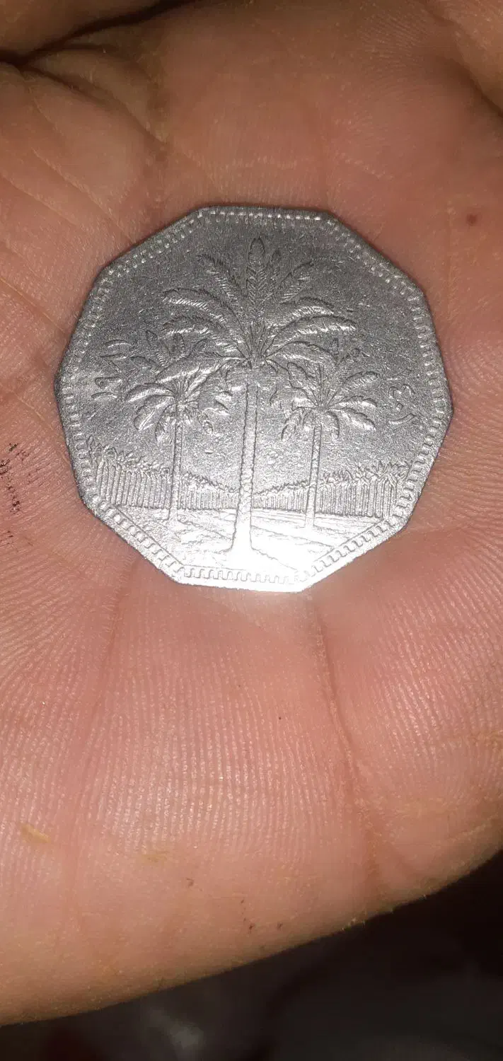 سکه عتیقه|کلکسیون اشیاء عتیقه|قروه, |دیوار