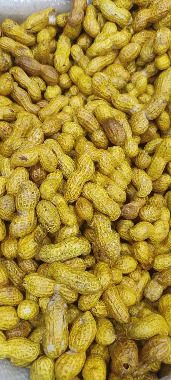 کارگاه بادام زمینی و تخمه|حراج|بوکان, |دیوار