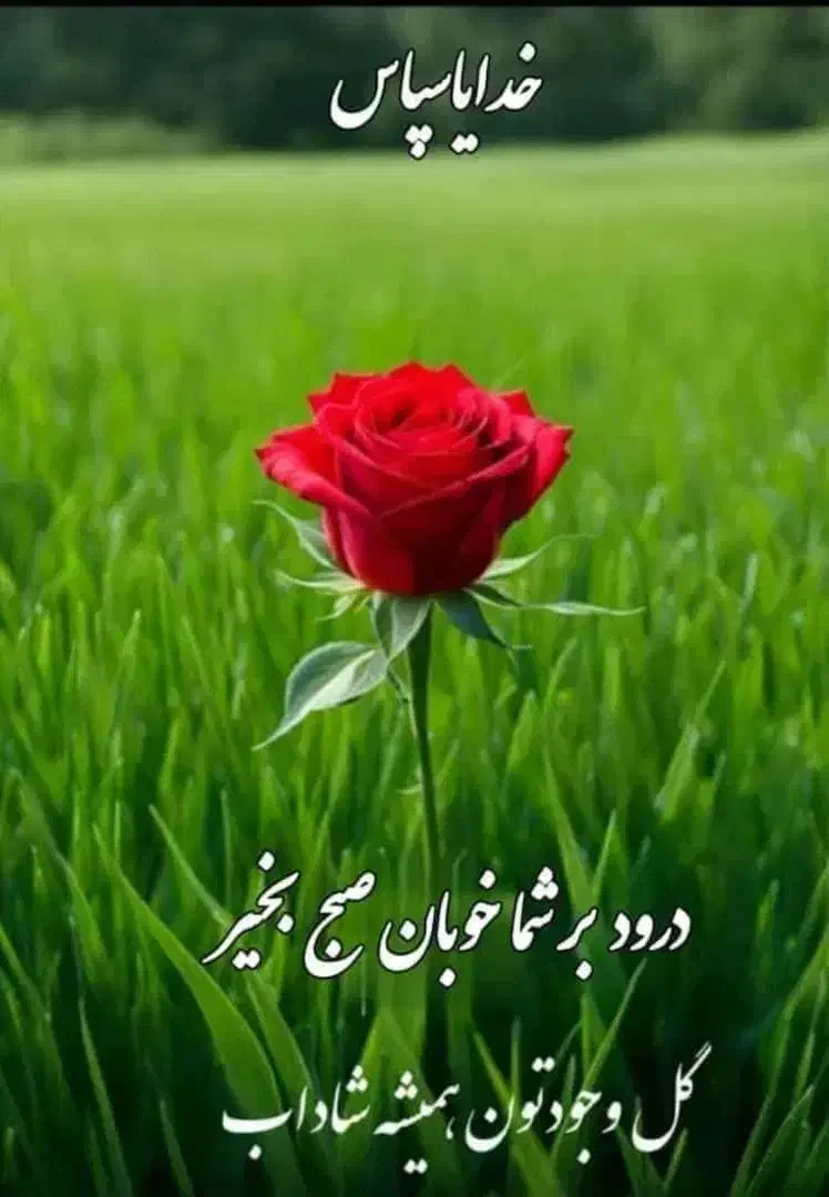 اجاره زمین کشاورزی برای کشت گندم کلزا وجو|اجارهٔ دفتر صنعتی، کشاورزی، تجاری|شوشتر, |دیوار