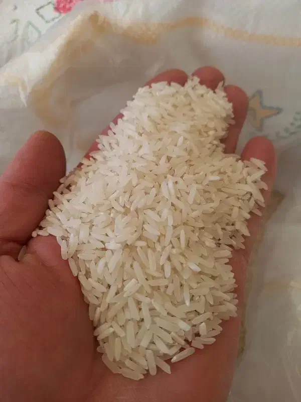 کالا برگ|خوردنی و آشامیدنی|اراک, |دیوار