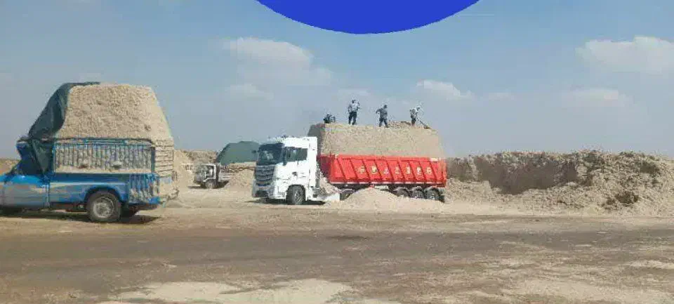 کاه نیشکر مستقیم تحویل دامداری|حیوانات مزرعه|شیراز, لاله|دیوار