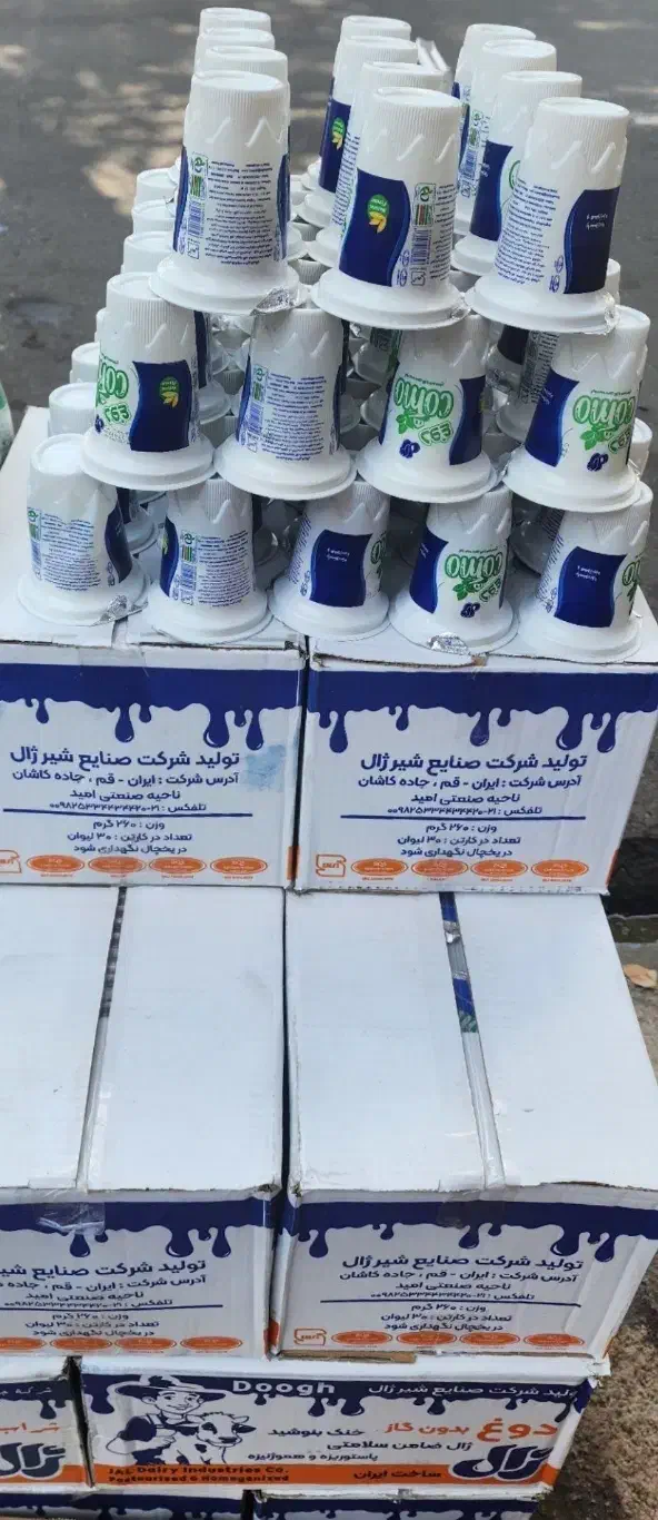 دوغ لیوانی ژال/ فروش ویژه|خوردنی و آشامیدنی|رشت, دباغیان|دیوار