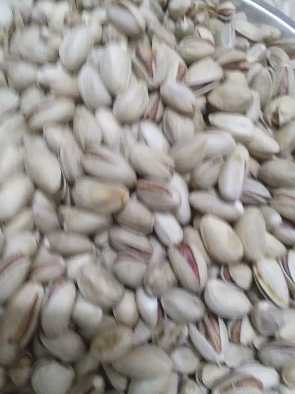 پسته احمد اقایی|خوردنی و آشامیدنی|جوادآباد, |دیوار