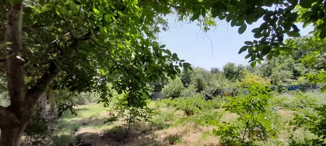 باغ زمین روستای گیو طینوج دستجرد|فروش زمین و ملک کلنگی|قم, قلعه یزدیها|دیوار