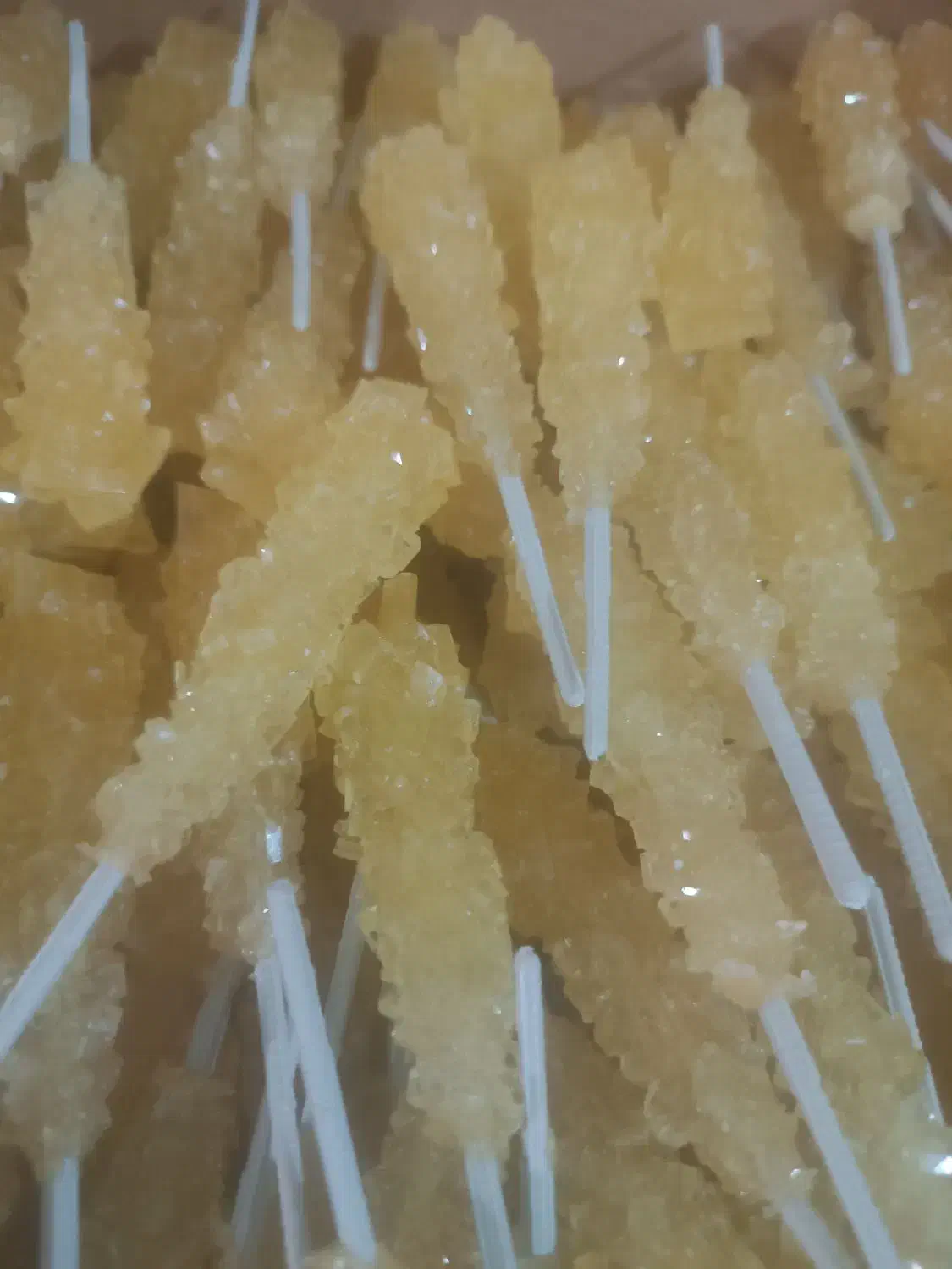 نبات نی دار زعفرانی|خوردنی و آشامیدنی|بابا حیدر, |دیوار