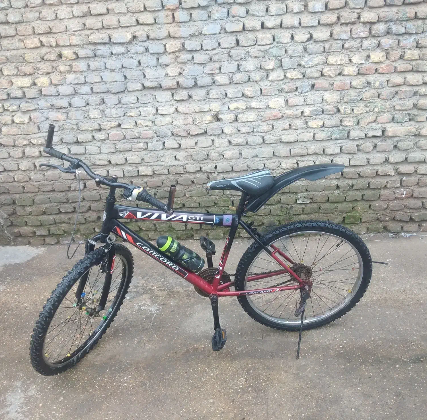 دوچرخه|دوچرخه، اسکیت، اسکوتر|گنبد کاووس, |دیوار