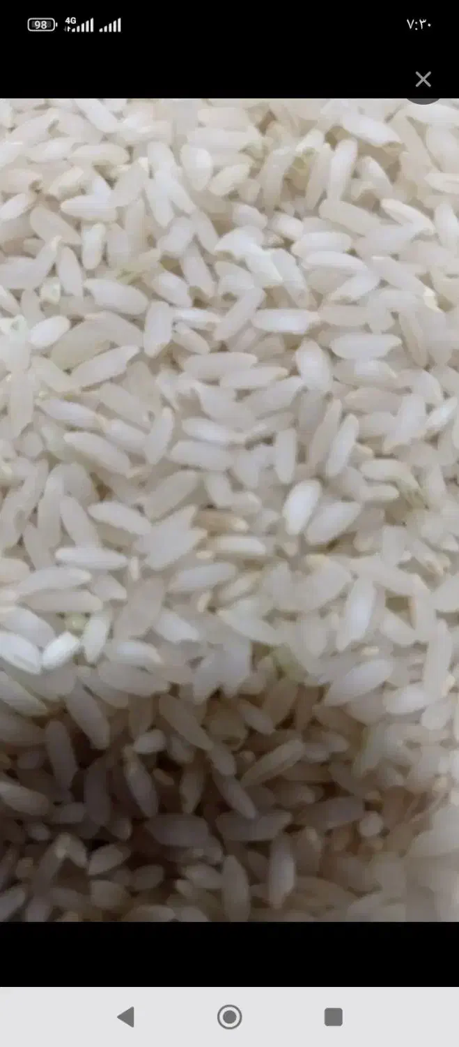 برنج چم پا درجه یک|خوردنی و آشامیدنی|خانمیرزا, |دیوار