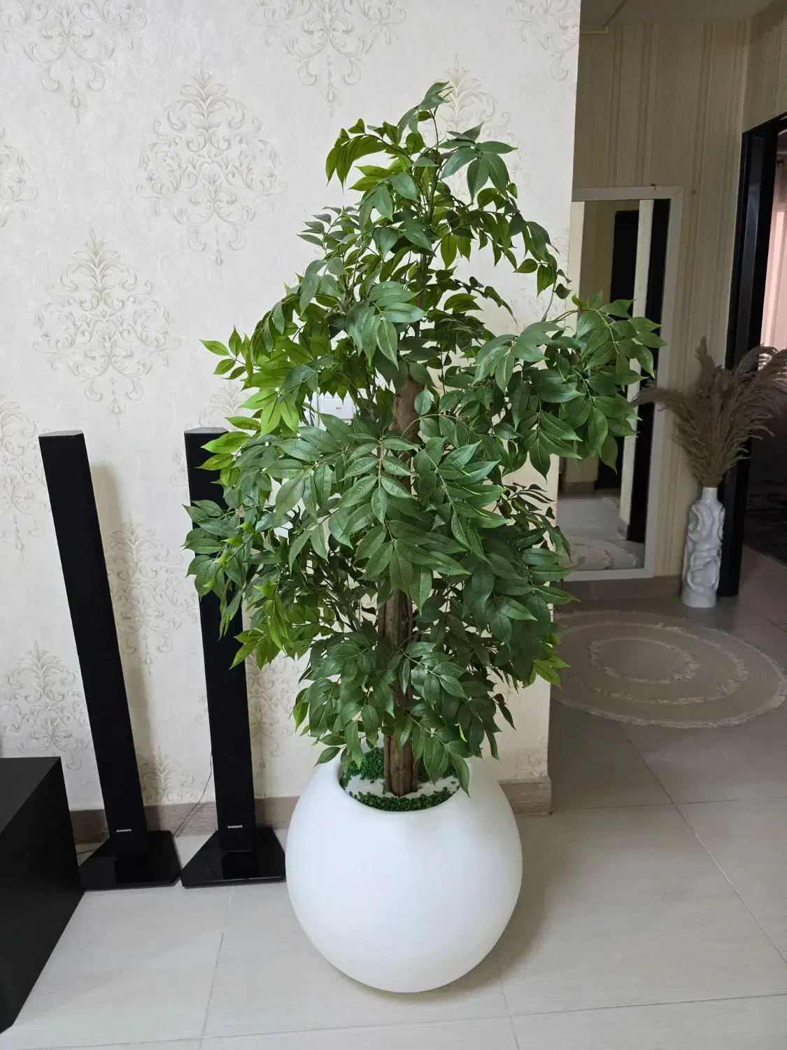 درخت اقاقیا|گل مصنوعی|بندرعباس, |دیوار