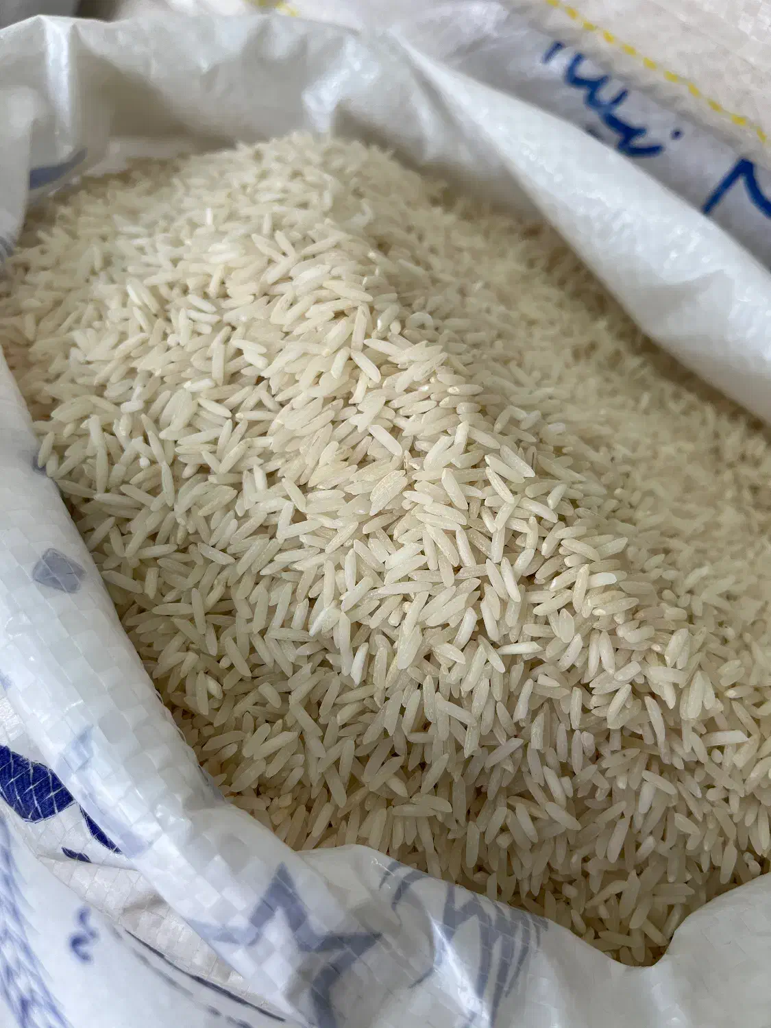 انواعِ برنجِ ایرانی(شمال)|خوردنی و آشامیدنی|رودان, |دیوار