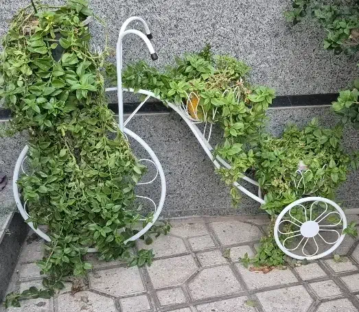 استندگل (دوچرخه)|گل و گیاه طبیعی|ری, حمزهآباد|دیوار