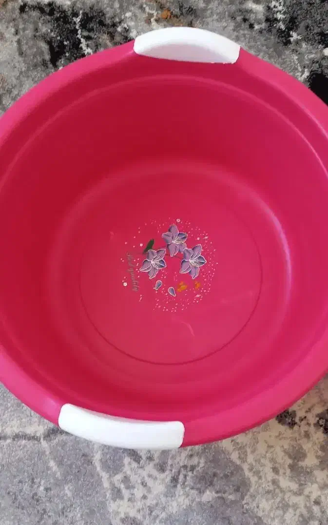 سطل|ظروف نگهدارنده، پلاستیکی، یک‌بارمصرف|ایلام, |دیوار