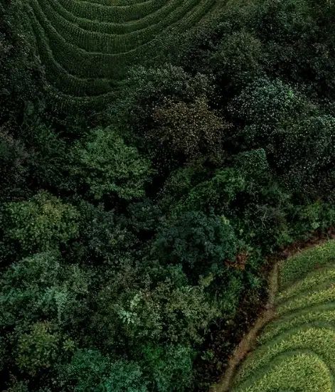 از کار خانگیم حمایت کنید لطفا|فعالیت داوطلبانه|آمل, |دیوار