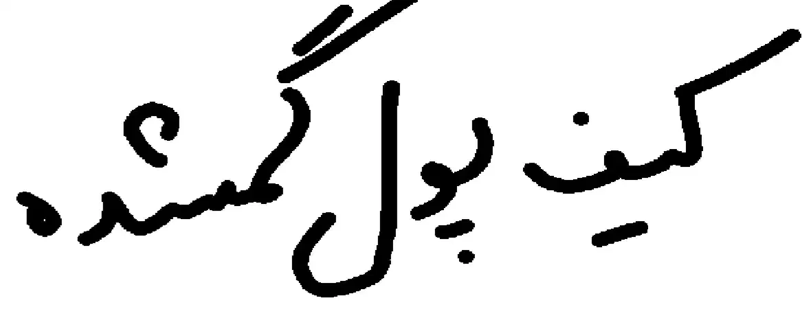 کیف گمشده|اشیا|مرند, |دیوار