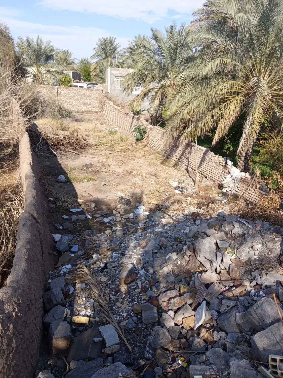 زمین|فروش زمین و ملک کلنگی|بم, |دیوار