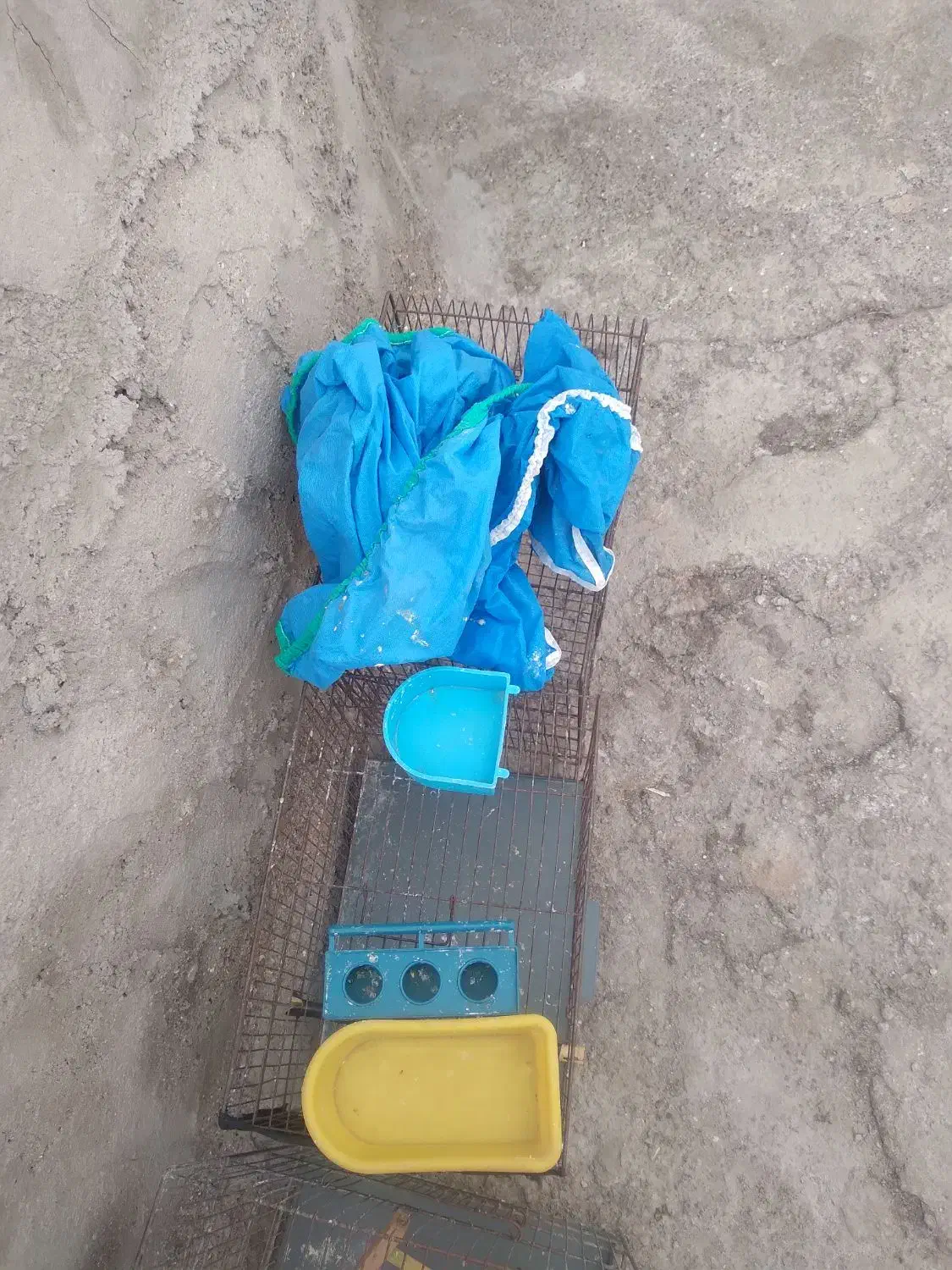 قفس پرنده|لوازم جانبی حیوانات|ساوه, |دیوار