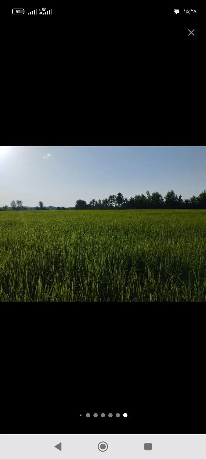 مشاوره همفکری|فعالیت داوطلبانه|رشت, کوی حسینی|دیوار