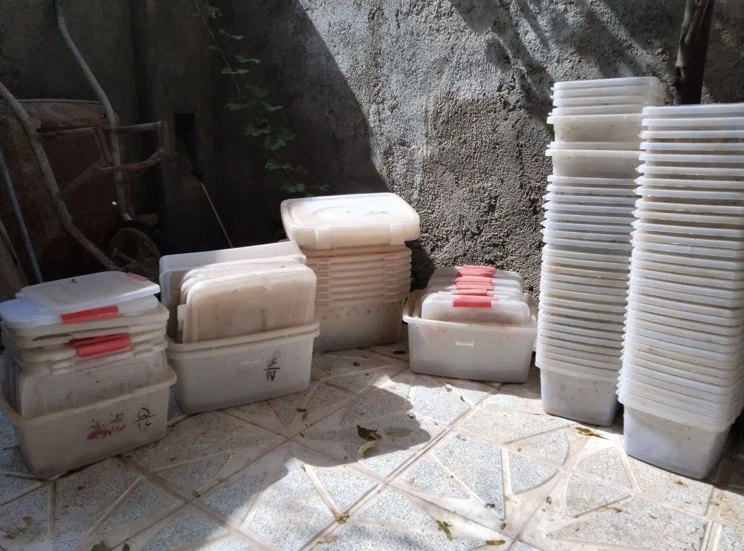 باکس شفاف|ظروف نگهدارنده، پلاستیکی، یکبارمصرف|تربتحیدریه, منظر|دیوار